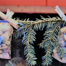 DSC_0289.JPG