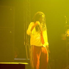 1395229.jpg