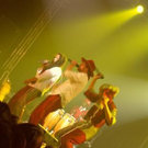 1395243.jpg