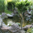 Hohenems K__nig G  _2_.JPG