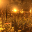 p11712-Bild _002_.jpg