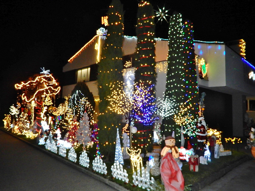 Dezember 16 002.JPG