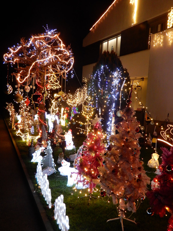 Dezember 16 015.JPG