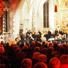 Stimmsterne am Weihnachtsblech