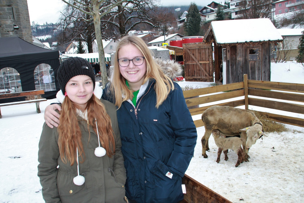 Weihnachtsmarkt 7.jpg