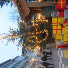 IMG_1293.JPG