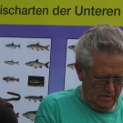 Die Fischer zeigten fast unglaubliche Exemplare unserer Gewässer