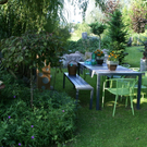 Hohenems K__nig G  _13_.JPG