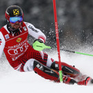 Hirscher in Saalbach