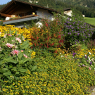 Hohenems Linder G  _3_.JPG