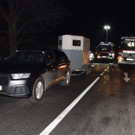 Pferd in Wiener Neudorf gerettet