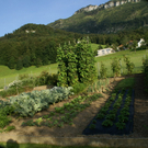 Hohenems Linder G  _8_.JPG