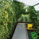 Hohenems Linder G  _10_.JPG