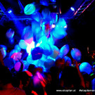 27_DSC08369_JPG-1545533306.jpg