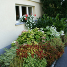 Hohenems Mathis G  _6_.JPG