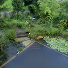 Klaus B__ckle G .JPG