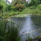 Klaus B__ckle G  _2_.JPG