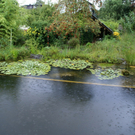 Klaus B__ckle G  _3_.JPG