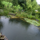 Klaus B__ckle G  _4_.JPG