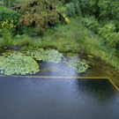 Klaus B__ckle G  _5_.JPG