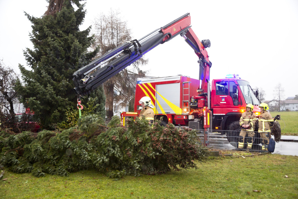 UW Rankw_Negrellistr_Baum-Haus21.JPG