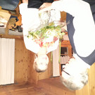 20181220_195423.jpg