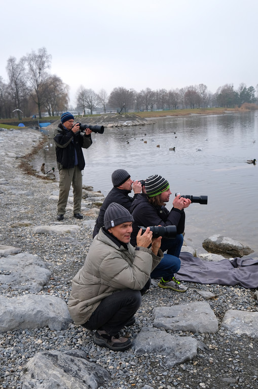 Vogelshooting_Manfred_Gasser _23_.jpg