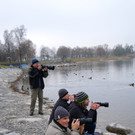 Vogelshooting_Manfred_Gasser _23_.jpg