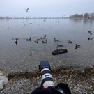 Vogelshooting_Manfred_Gasser _26_.jpg