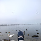 Vogelshooting_Manfred_Gasser _27_.jpg
