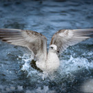 0002_Fotoausflug Hard__Mario Stecher 2018.jpg