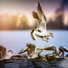 0003_Fotoausflug Hard__Mario Stecher 2018.jpg