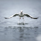 0004_Fotoausflug Hard__Mario Stecher 2018.jpg