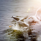 0005_Fotoausflug Hard__Mario Stecher 2018.jpg
