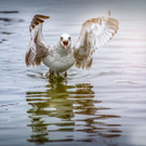 0006_Fotoausflug Hard__Mario Stecher 2018.jpg