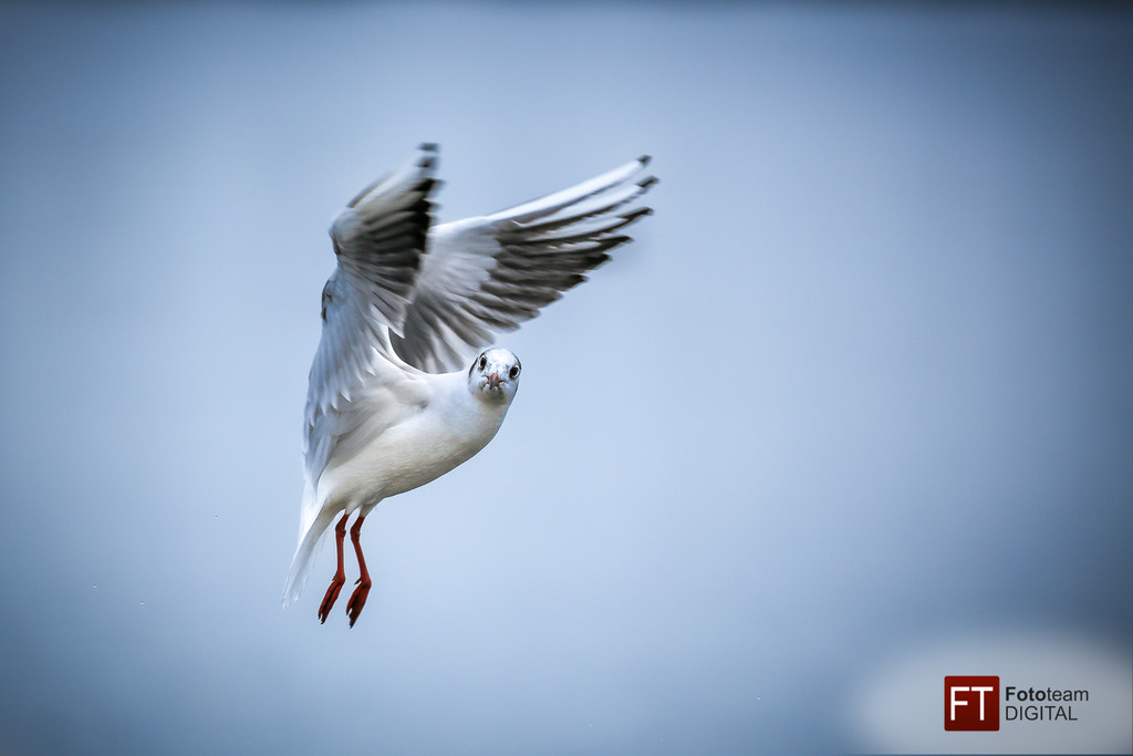 0010_Fotoausflug Hard__Mario Stecher 2018.jpg