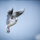 0010_Fotoausflug Hard__Mario Stecher 2018.jpg