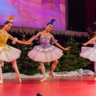 Weihnachtsball  _147 von 233_.jpg