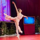 Weihnachtsball  _152 von 233_.jpg