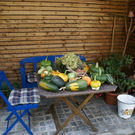 Meiningen P__mpel G .JPG