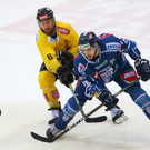 Vienna Capitals gegen Fehervar