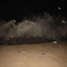 AFP_1BY7XP_1.jpg