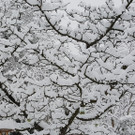 20190105_151850.jpg