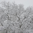 20190105_151902.jpg