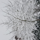 20190105_151911.jpg