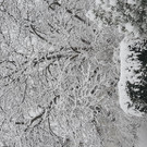20190105_151956.jpg