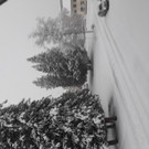 20190105_153835.jpg
