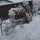 20190105_154226.jpg