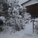 20190105_154234.jpg