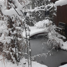 20190105_154258.jpg